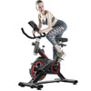 spin bikes for homes