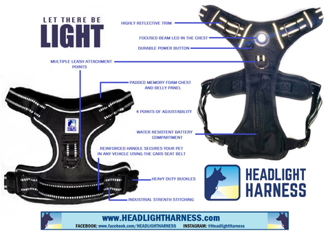 Image of Headlight Harness M- Orange